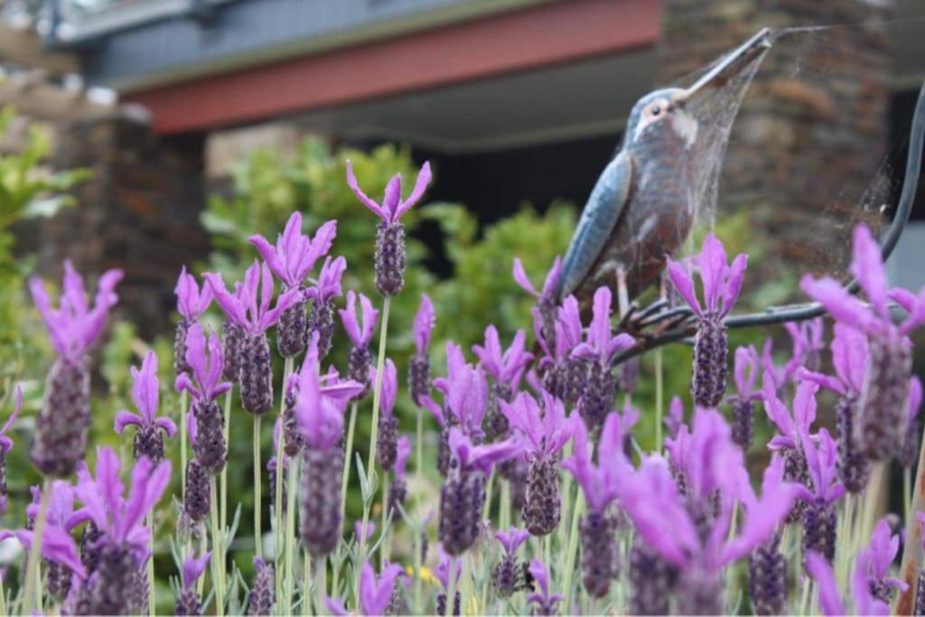 Maymorn Orchard Suites Upper Hutt Exterior foto